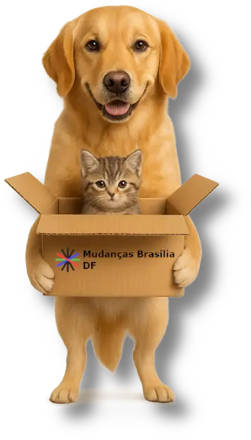 Mudança residencial em Taguatinga em Brasília DF 2 mudancas em taguatinga 2